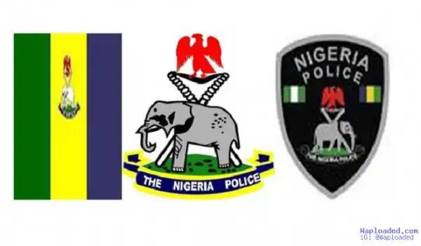 How A Man Was Caught Having S*x With A Horse In Katsina